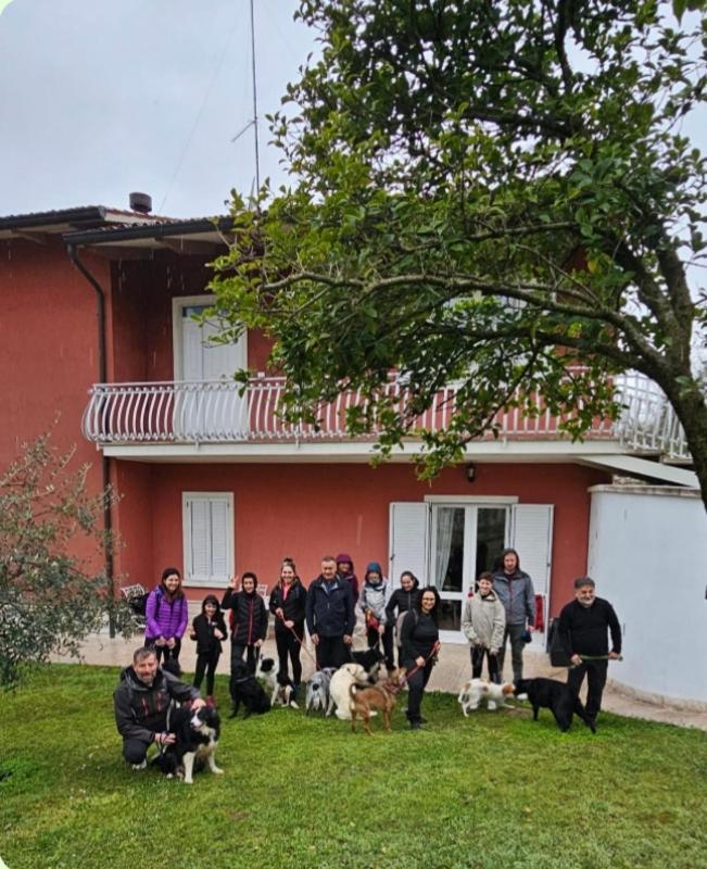 Pace, Luminosita E Comodita A Due Passi Dal Garda 沃尔塔曼托瓦纳 外观 照片